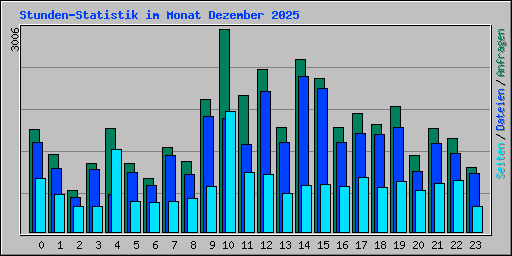 Stunden-Statistik im Monat Dezember 2025