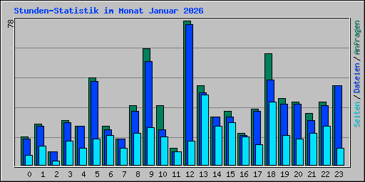 Stunden-Statistik im Monat Januar 2026