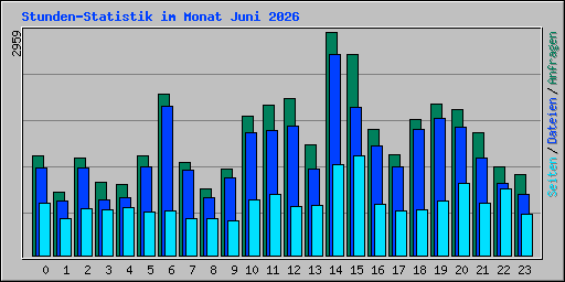 Stunden-Statistik im Monat Juni 2026